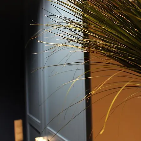 A11 & Spa Dermique Apartment