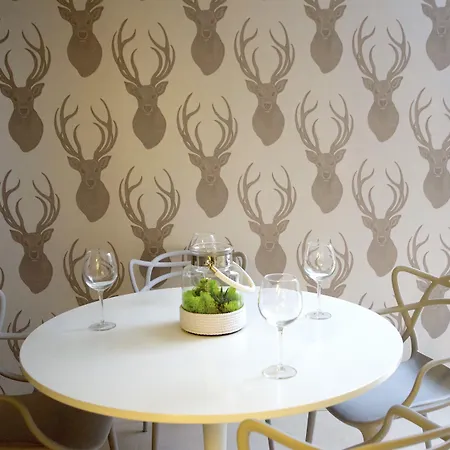 A11 & Dermique Krakau