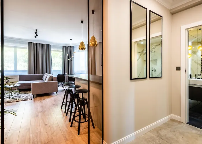 A11 & Dermique Krakov