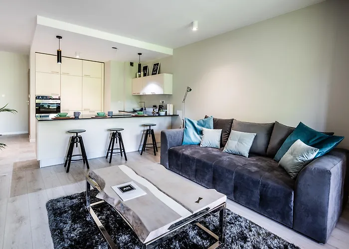 A11 & Dermique Krakov