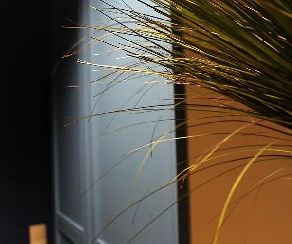 A11 Apartments&spa Dermique Appartement