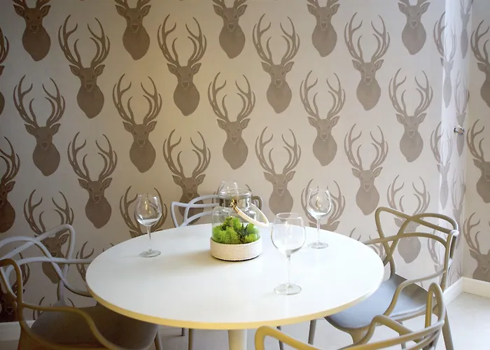 A11 & Dermique Krakau